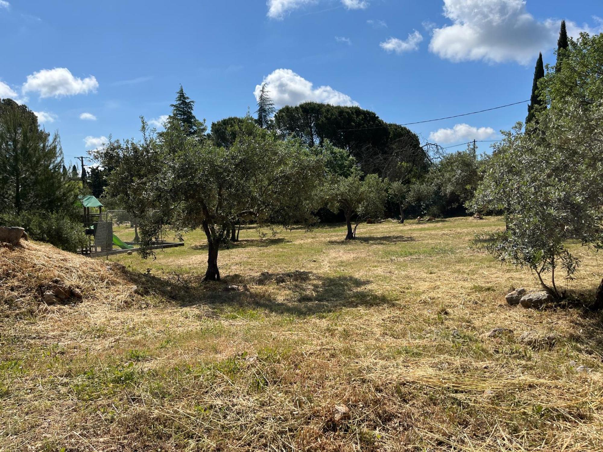 Gite Le Mas Des Oliviers Draguignan Exterior photo